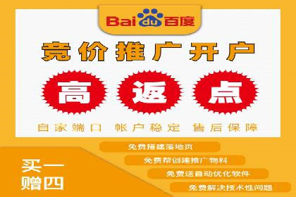 SEM代理操作技巧：成功案例揭秘